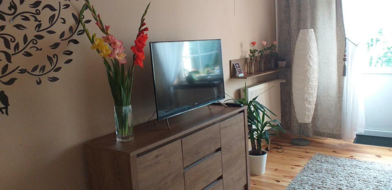 Apartamenty Przy Farze Kazimierz Dolny Exteriér fotografie